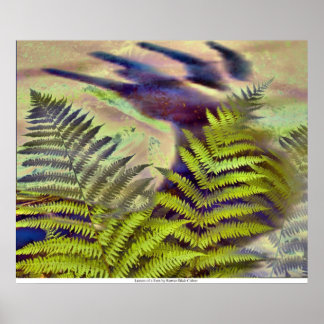 Leaves of a Fern by Rowan Blair Colver Poster