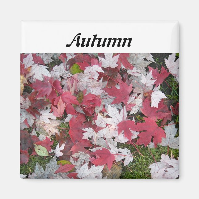 Leaves of Autumn Magnet (Front)