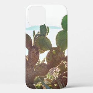 Leaves of cactus. Plant outdoor with flare light i iPhone 12 Case