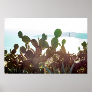Leaves of cactus. Plant outdoor with flare light i Poster