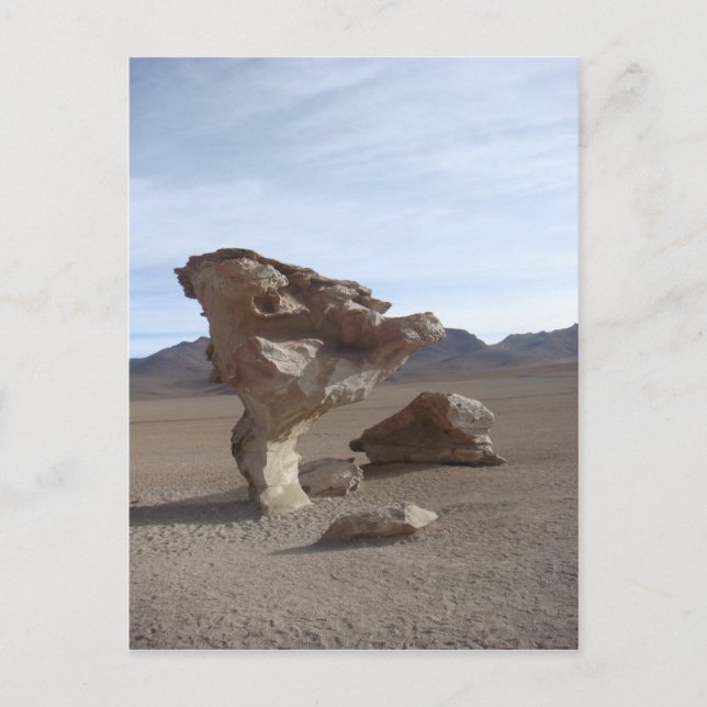 Leaves Of Stone Postcard (Front)