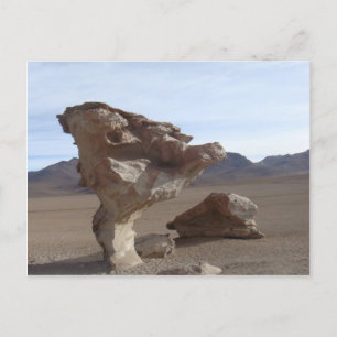 Leaves Of Stone Postcard