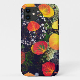 Leaves on a lichen covered rock, Rocky Mountains iPhone 11 Case