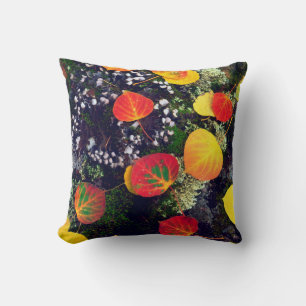 Leaves on a lichen covered rock, Rocky Mountains Cushion
