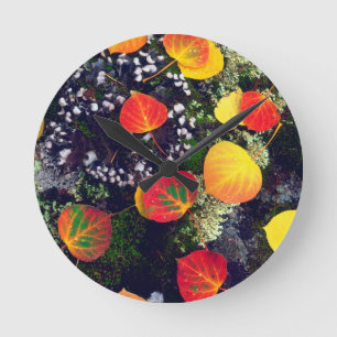 Leaves on a lichen covered rock, Rocky Mountains Round Clock