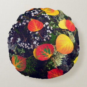 Leaves on a lichen covered rock, Rocky Mountains Round Cushion