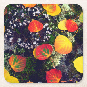 Leaves on a lichen covered rock, Rocky Mountains Square Paper Coaster