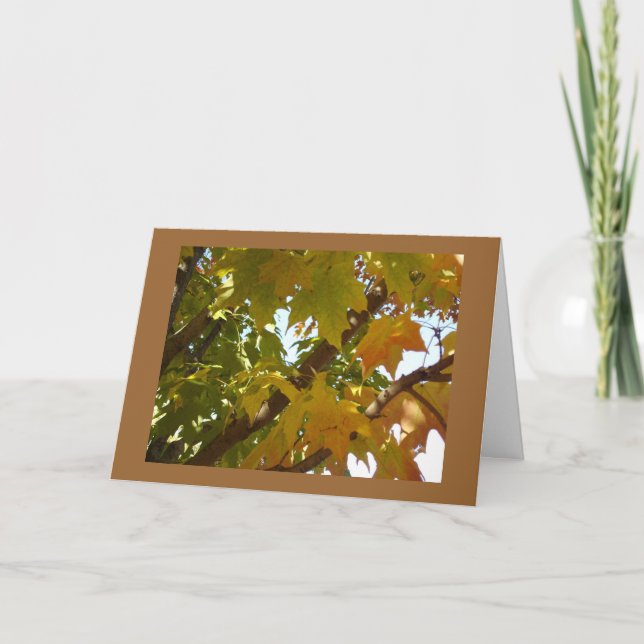 Leaves on a Tree Card (Front)