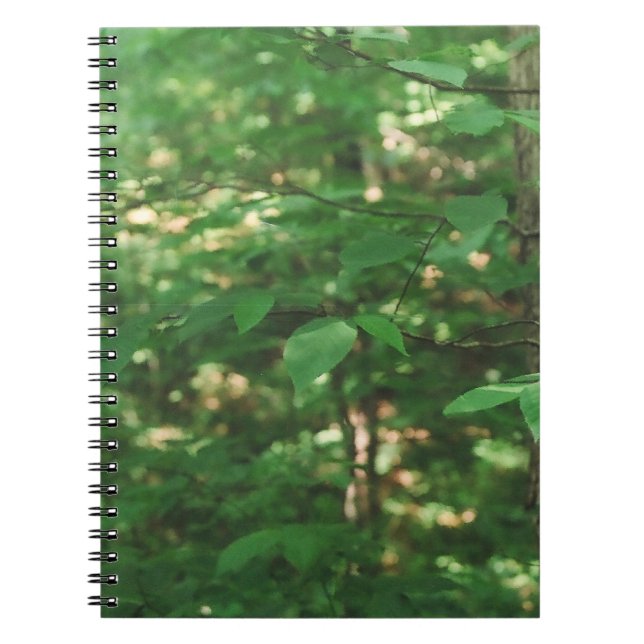 "Leaves on a tree..." Nature Photograph Notebook (Front)