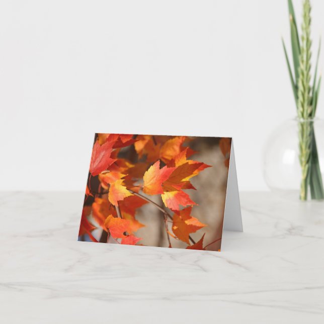 Leaves on Fire Notecard (Front)