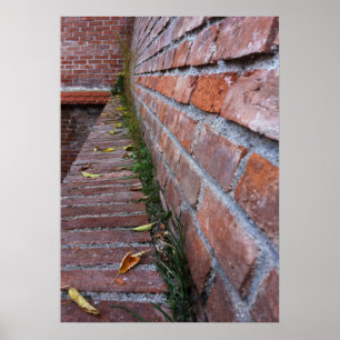 leaves on the old wall poster