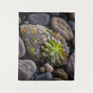 Leaves Pebbles Calm Tranquil Nature Peaceful River Tapestry