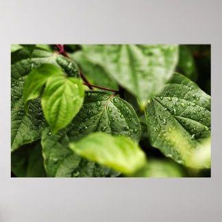 Leaves Poster
