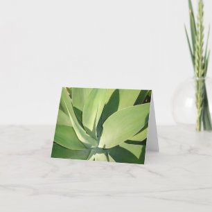 Leaves & Shadows v2 Card