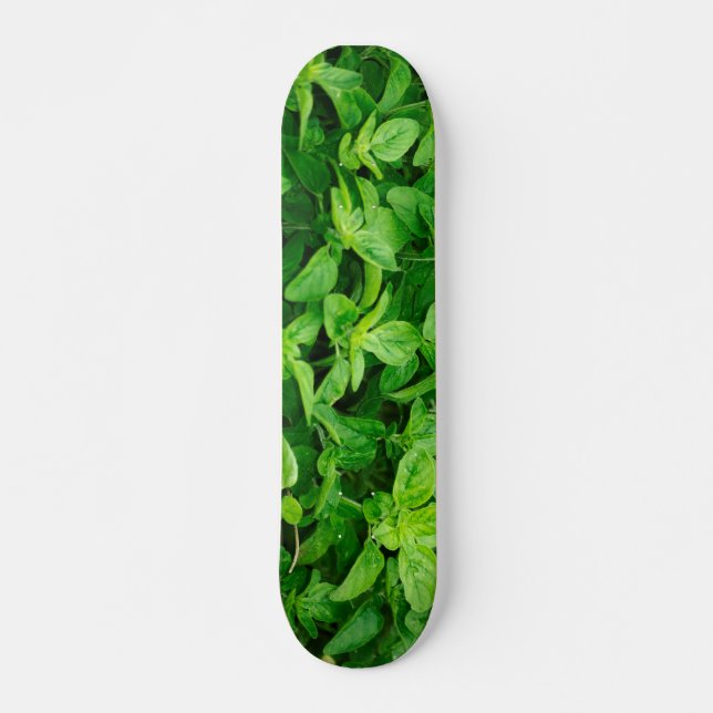 Leaves Skateboard 2 (Front)