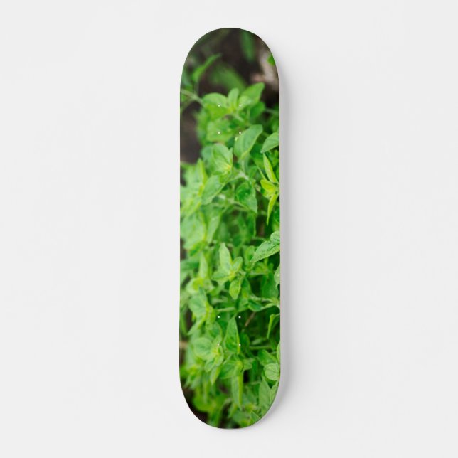 Leaves Skateeboard Skateboard (Front)
