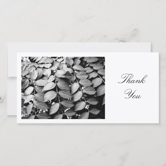 Leaves - Thank You Card (Front)