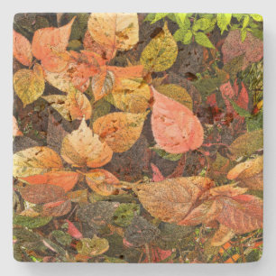 "LEAVES" TRAVERTINE COASTER WITH CORK BACKING
