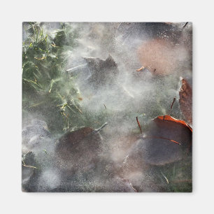 leaves under ice magnet