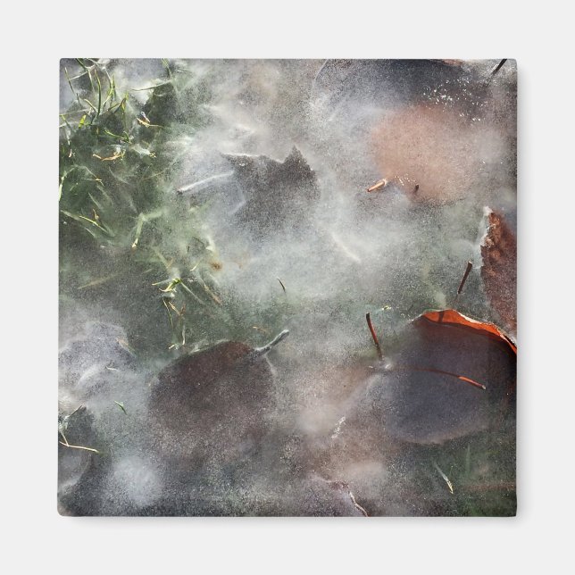 leaves under ice magnet (Front)