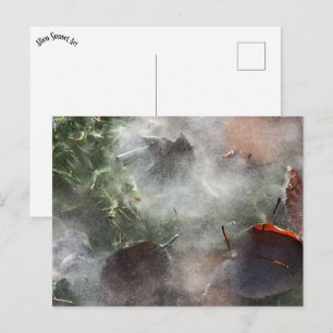leaves under ice postcard
