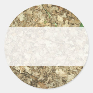Leaves. Woodland floor. Leafy ground. Classic Round Sticker