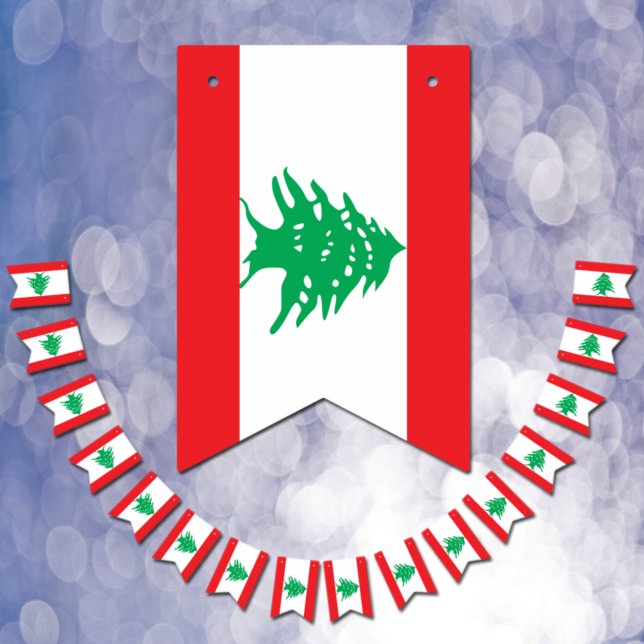 Lebanese Flag & Party Lebanon Banners / Weddings (Creator Uploaded)