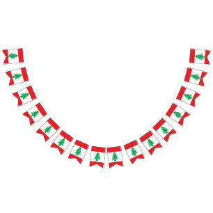 Lebanon Flag