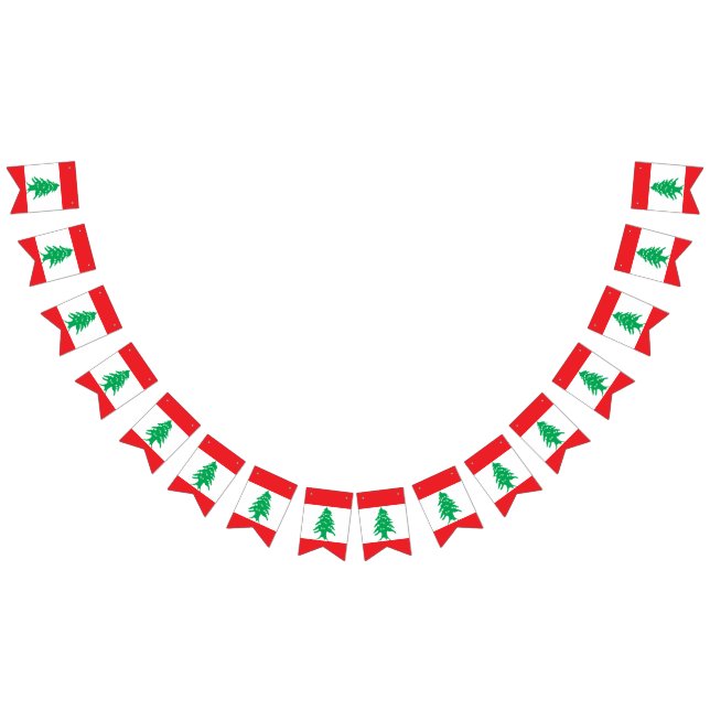 Lebanon Flag (All)