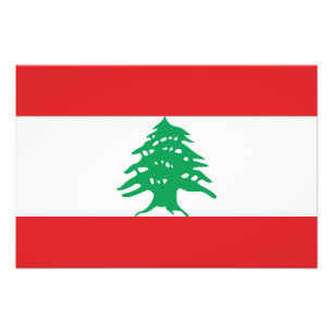 Lebanon Flag Photo Print