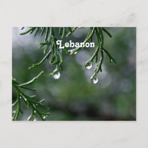 Lebanon Postcard