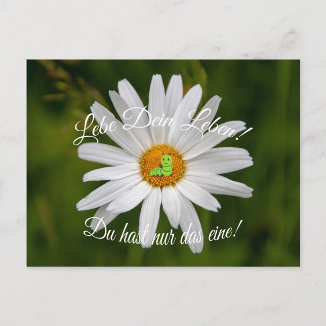 Lebe Dein Leben! Du hast nur das eine! Postcard (Front)