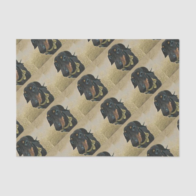 LeBron the Dachshund Wrapping paper. Tissue Paper (Front)