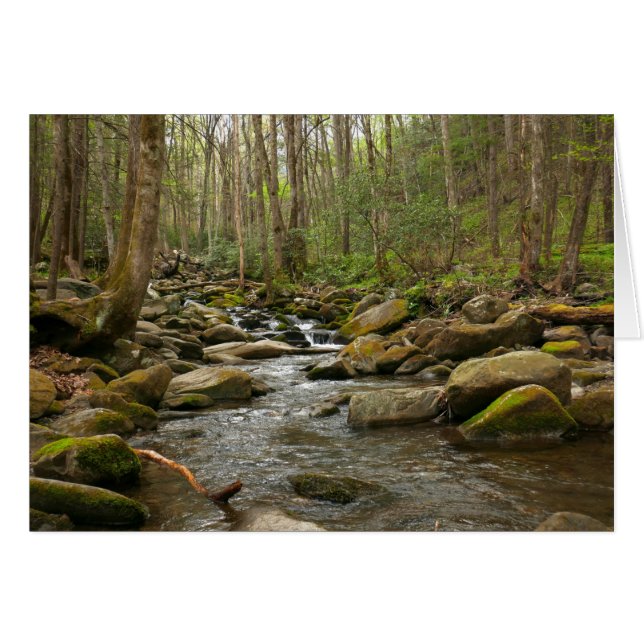 LeConte Creek at Great Smoky Mountains (Front Horizontal)