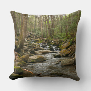 LeConte Creek at Great Smoky Mountains Cushion
