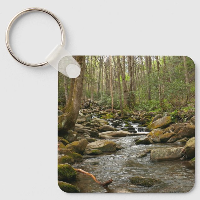 LeConte Creek at Great Smoky Mountains Key Ring (Front)