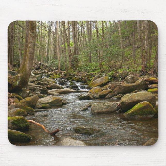 LeConte Creek at Great Smoky Mountains Mouse Pad (Front)