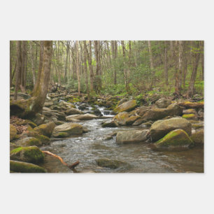 LeConte Creek at Great Smoky Mountains Wrapping Paper Sheet