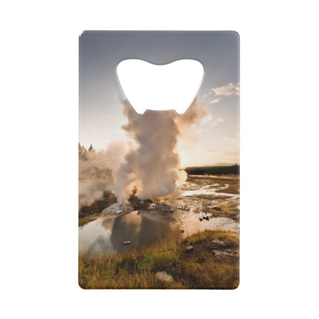 Ledge Geyser, Norris Geyser Basin (Front)