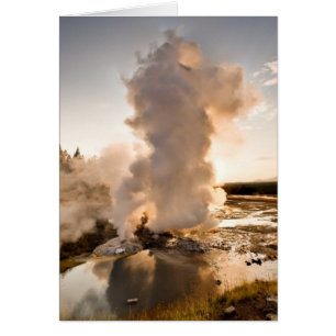 Ledge Geyser, Norris Geyser Basin