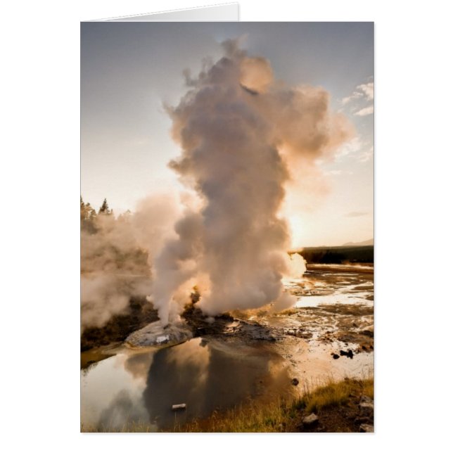 Ledge Geyser, Norris Geyser Basin (Front)