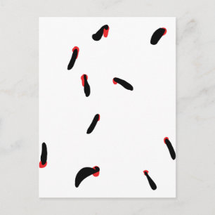 leech - bloodsuckers postcard