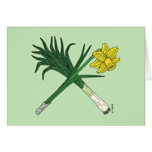 Leek and Daffodil Crossed