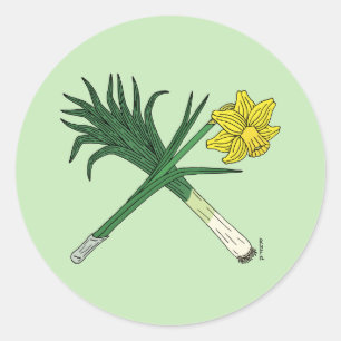 Leek and Daffodil Crossed Classic Round Sticker
