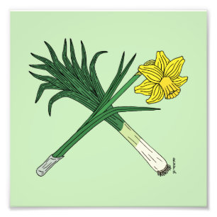Leek and Daffodil Crossed Photo Print