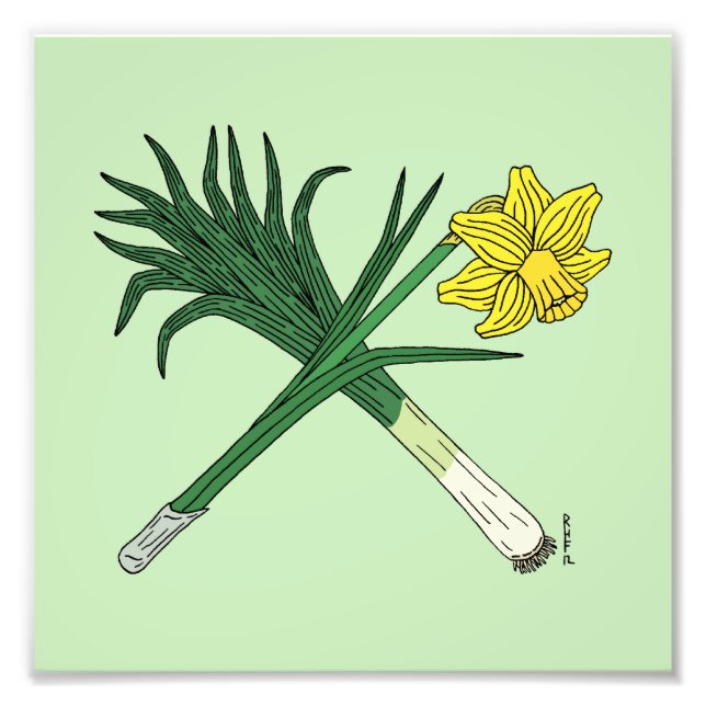 Leek and Daffodil Crossed Photo Print (Front)