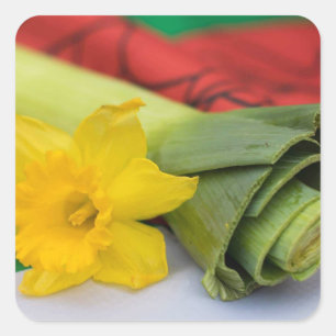 Leek-Welsh custom Square Sticker