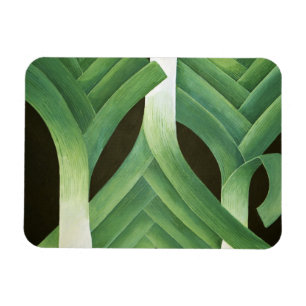 Leeks 2014 magnet