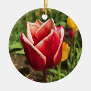 Leen Van Der Mark Tulip, Oregon Ceramic Ornament