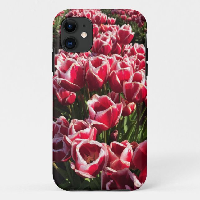 Leen Van Der Mark Tulips, Oregon Case-Mate iPhone Case (Back)